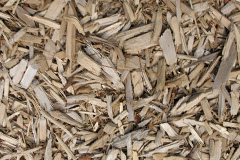 biomass boilers Teangue